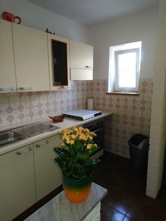 Apartment Summer Night Dream Zadar Exterior photo